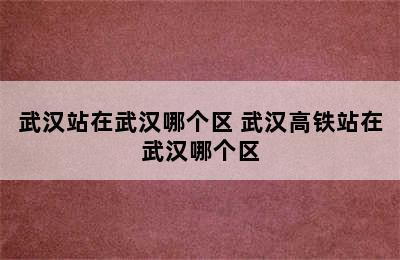 武汉站在武汉哪个区 武汉高铁站在武汉哪个区